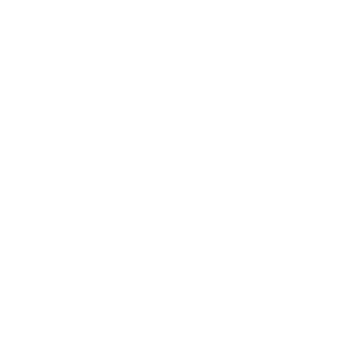 BrewPub Browar Dwie Wieże Logo